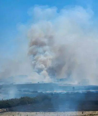 Balıkesir'deki orman yangını kontrol altına alındı - Resim: 10